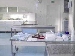 Animal Hospital Stock Footage