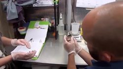 Make Way For Ducklings Instructional Video