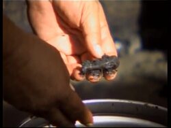 Scientists unearth 40,000 yr old remains News Clip