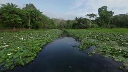 Intense drought hits Panama Canal shipping News Clip