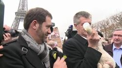 CLEAN : Sheep flock to Eiffel Tower as French farmers cry wolf News Clip