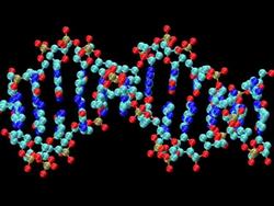 Animation of rotating DNA molecule Stock Footage