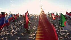 Montage - Many Flag on Venice Beach at Sunset Stock Footage