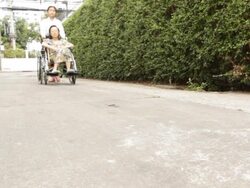 Young caregiver helping elderly woman on wheelchair Stock Footage