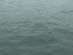 Chicago City Skyline News Clip