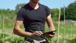 Biodynamic farming Stock Footage