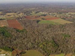WS AERIAL View of Trees and landscape / North Carolina, United States Stock Footage