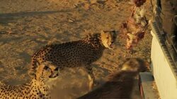 VOICED : Part of community near Texas blast News Clip