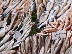MS PAN Fish market displays of fish and shellfish-octopus / Istanbul, Turkey Stock Footage
