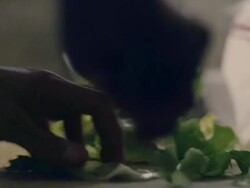 Restaurant food preparation Stock Footage