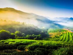 Beautiful sunshine at misty morning mountains at north thailand timelapse Stock Footage