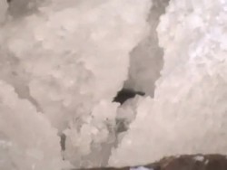 VOICED: Ecstasy on ice News Clip