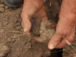 dry soil Stock Footage
