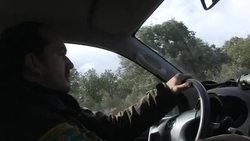 CLEAN : Ancient beasts roam Spain's wilderness News Clip