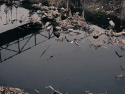 Polluted river Stock Footage