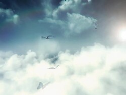 Blue butterflies flying (sky) - Loop Stock Footage