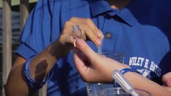 Testing Water Turbidity Using a Sensor Instructional Video