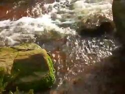 RIVER & MOSS ROCKS Stock Footage