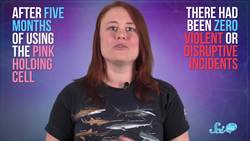 Does Color Really Affect How You Act? Instructional Video