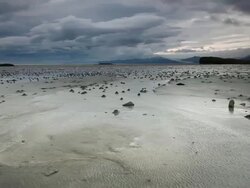WS Shot of water pools at low tide blow in strong gale force winds in front of ocean,  mountains and glaciers in distance / Hofn, Austur-Skaftafellssysla, Iceland    Stock Footage