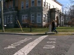 CLEAN: New York's Oyster Bay gets its oysters back News Clip