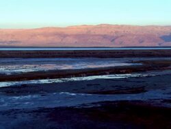 AERIAL WS TS  View of salt crystals in dead sea / Sourn Judea Desert, Israel   Stock Footage