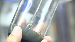 breeding orchid in biotechnology by plant tissue culture Stock Footage