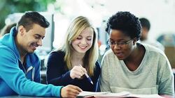 University students studying in a computer lab Stock Footage