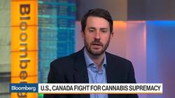 U.S. Fights Canada in Battle for Cannabis Supremacy News Clip