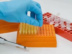 timelapse : adding micro pipette tubes Stock Footage