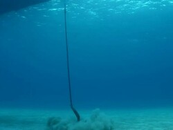 MS  Anchor being dropped to ocean floor  AUDIO / Florida, United States Stock Footage