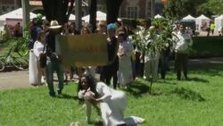 Peruvian activist marries tree to raise awareness about environmental issues News Clip