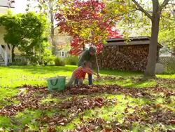 WS DS Grandmother and grandson raking leaves / Tivoli, New York, United States Stock Footage