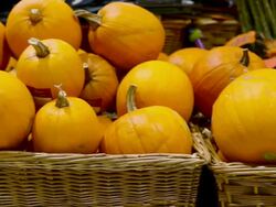 Pumpkins in supermarket Stock Footage