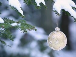 Christmas Ball Hanging on Winter Tree PAN Stock Footage