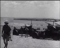 Palestine: News Clip