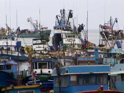 MS View of Several boat standing in group / Guanacaste, Costa Rica Stock Footage
