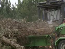 MS Logs going into chipping machine / Cranbrook, Kent, United Kingdom Stock Footage