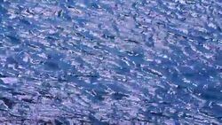 background of sparkling sea surface Stock Footage