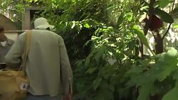 CLEAN : Brazil army goes door to door in fight against Zika News Clip