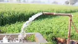watering in the green wheat field during winter season Stock Footage