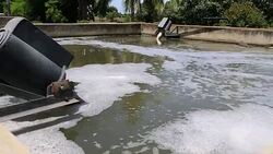 Waste Water Treatment. Stock Footage