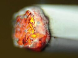 Cigarette burning Stock Footage