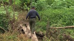 CLEAN: Borneo mega-dam 'nail in the coffin' for local people News Clip