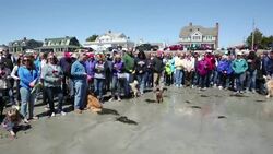 Maine community remembers Barbara Bush Instructional Video