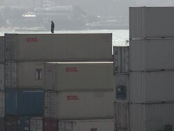 Dock worker walks on top of large shipping containers as cranes move nearby, Hong Kong Stock Footage