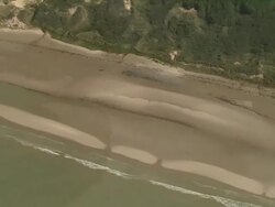 Opal Coast Stock Footage