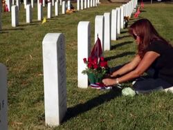 Veteran's Day Observed At Arlington National Cemetery Stock Footage