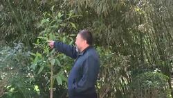 CLEAN : FILE: China artist Ai Weiwei says Britain restricted his visa News Clip