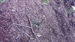 Point of view battle footage from Syria News Clip